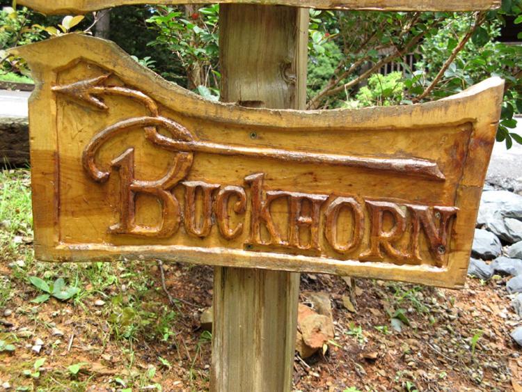 Buckhorn Villa Гетлинбург Екстериор снимка